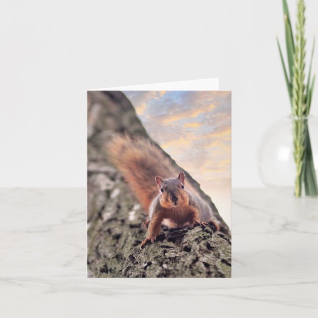 Hey, was ist die Notizkarte? Karte (Vorderseite)