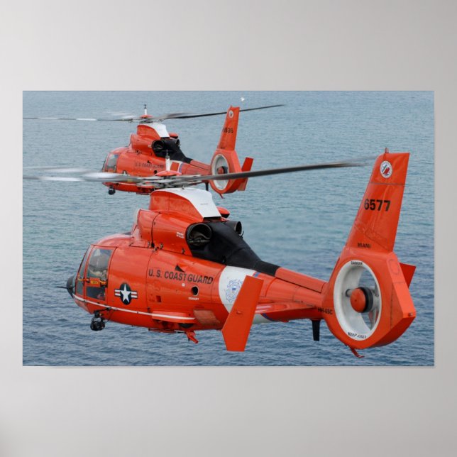 HH-65-Dolphin Poster (Vorne)