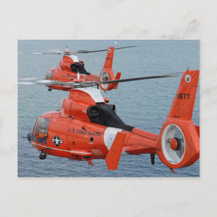 HH-65-Dolphin Postkarte