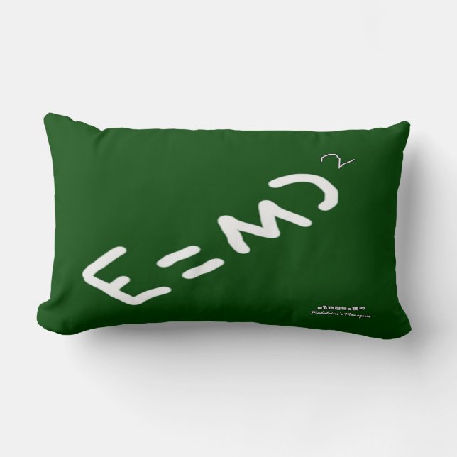 HI54EDU Physics Relativity RVC Lendenkissen (Vorderseite)