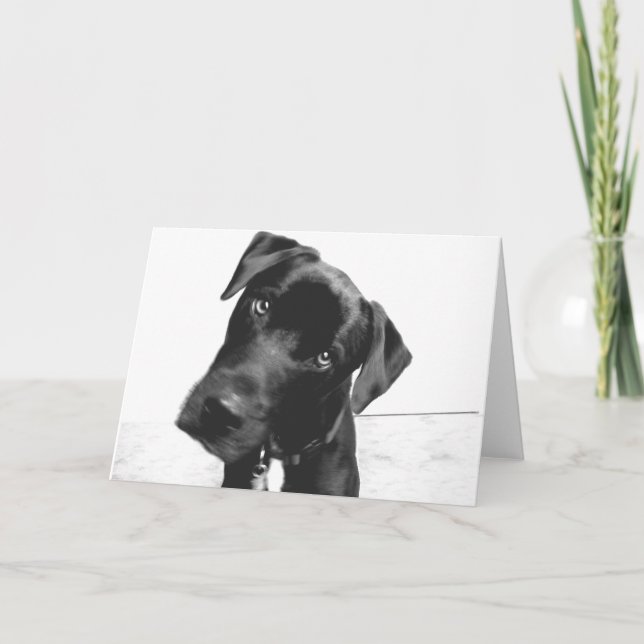 Hi da karte (Vorderseite)