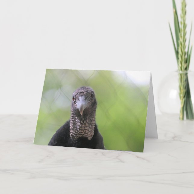 Hi da karte (Vorderseite)