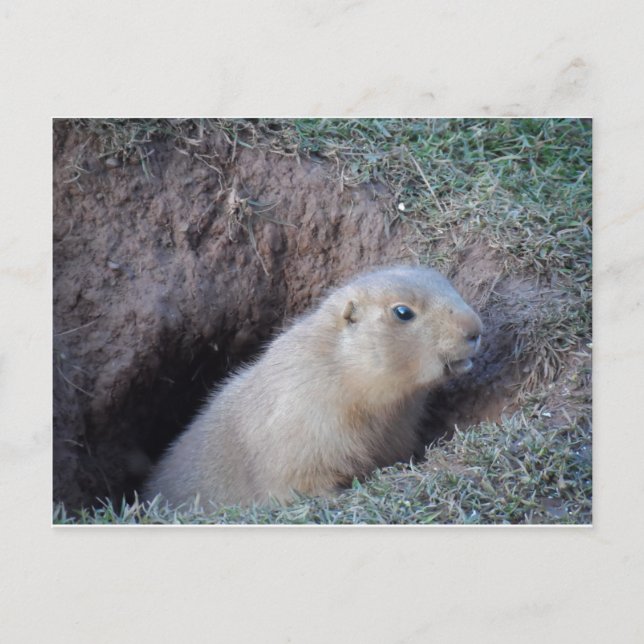 Hi da postkarte (Vorderseite)