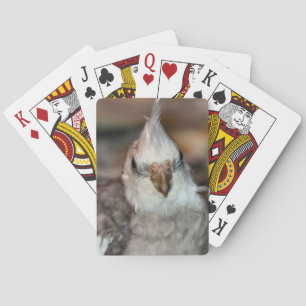 Hi da spielkarten
