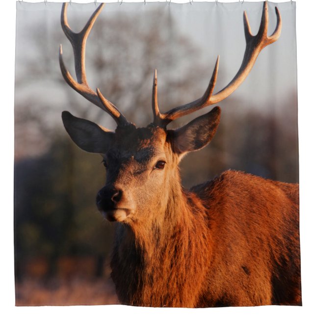 HI DEER DUSCHVORHANG (Vorderseite)