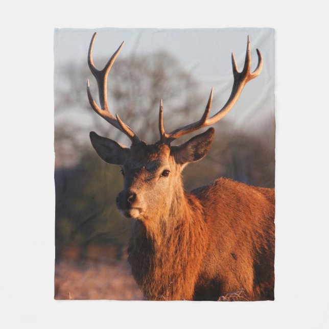 HI DEER FLEECEDECKE (Vorderseite)