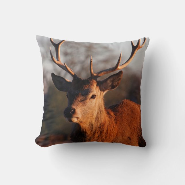 HI DEER KISSEN (Vorderseite)