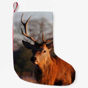 HI DEER KLEINER WEIHNACHTSSTRUMPF