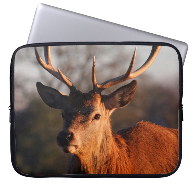 HI DEER LAPTOPSCHUTZHÜLLE (Vorderseite)