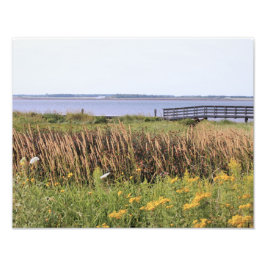 Hi-def-Fotografie, Ozean, Brücke, wilde Blume Fotodruck