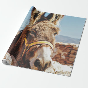 HI DONKEY GESCHENKPAPIER