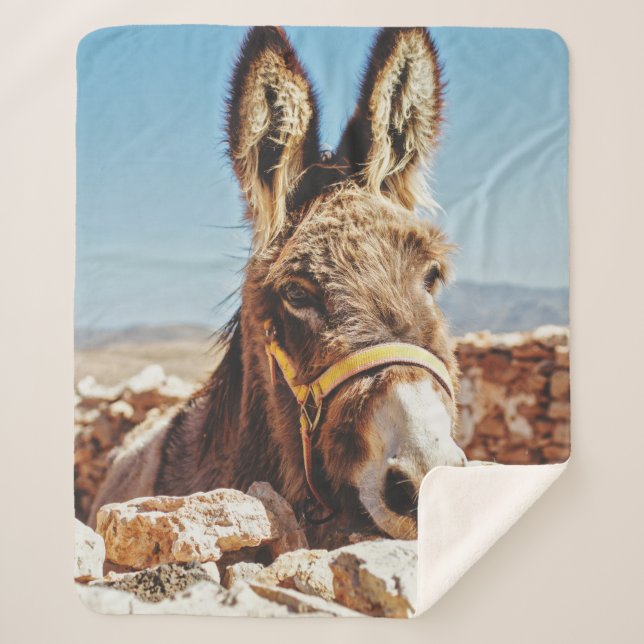 HI DONKEY SHERPADECKE (Vorderseite)