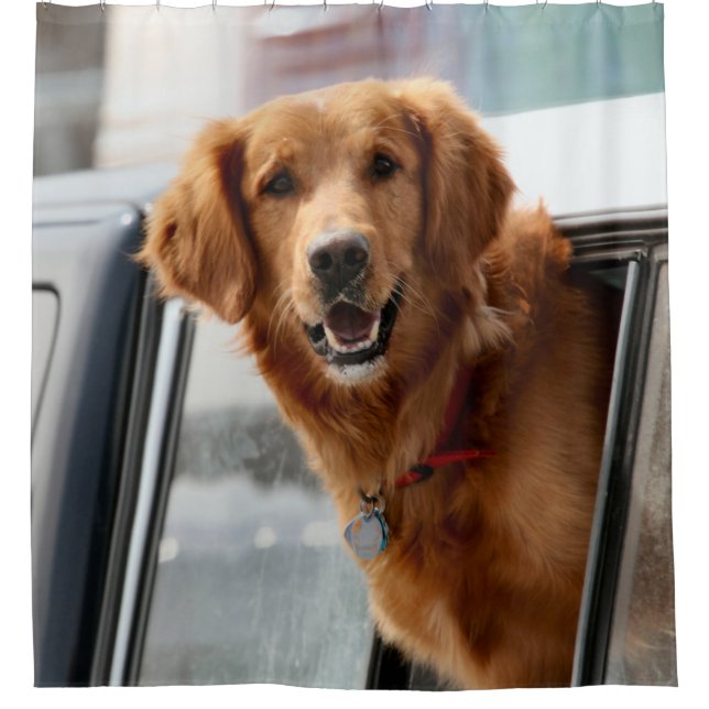 Hi Duschvorhang (Vorderseite)