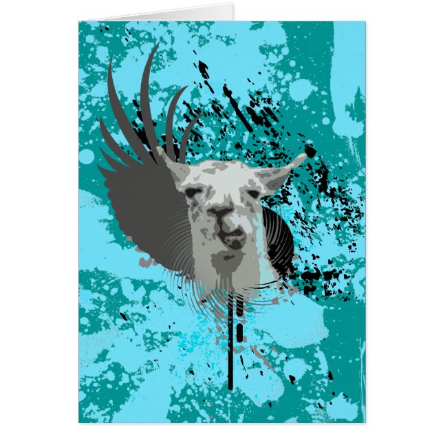 Hi-Fi-Lama. (Vorne)