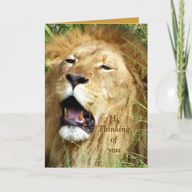 Hi, Hello_ Card Karte (Vorderseite)