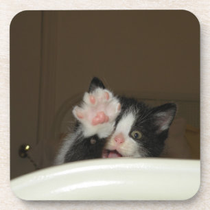 "Hi Kitten!" Untersetzer