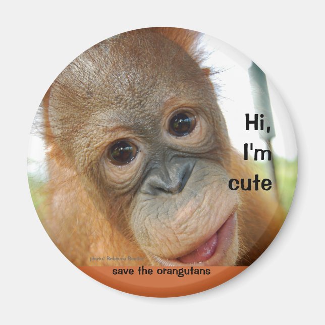 Hi Niedlich Baby Orangutan Magnet (Vorne)