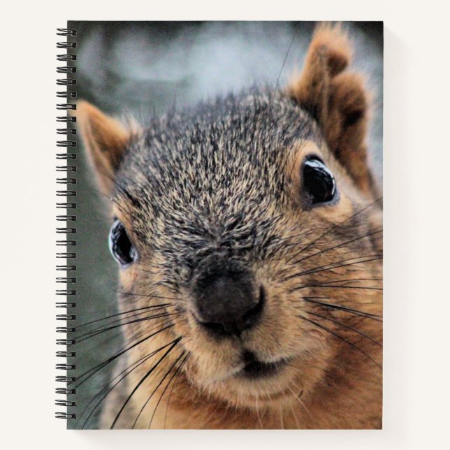 Hi Notizbuch (Vorderseite)