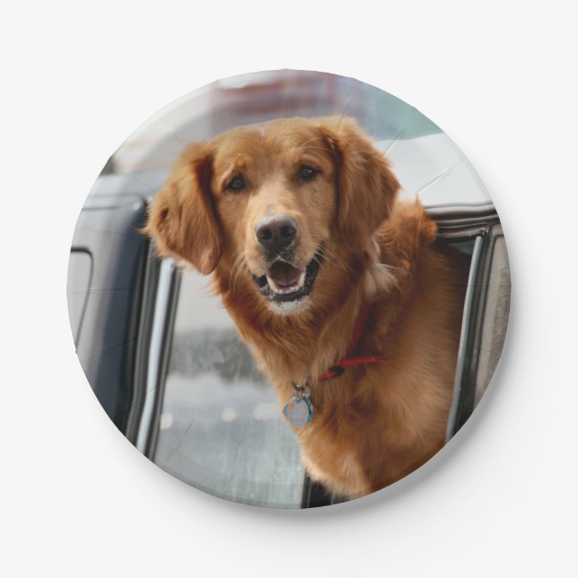 Hi Pappteller (Vorderseite)