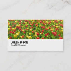Hi-Phi - 0188 - Meer der Tulpen II Visitenkarte