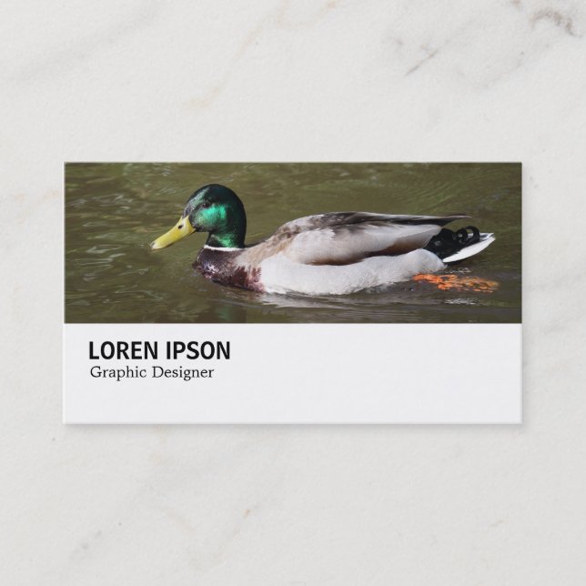Hi-Phi - 0294 - Mallard Duck Visitenkarte (Vorderseite)