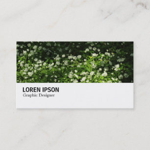 Hi-Phi - 0345 - Wilder Knoblauch Visitenkarte