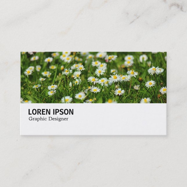 Hi-Phi - 0388 - Daisy Meadow Visitenkarte (Vorderseite)