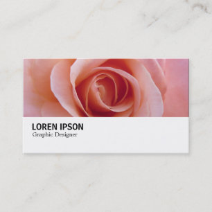 Hi-Phi - 097 - Rosa Rose Visitenkarte