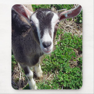 Hi There Goat Mousepad