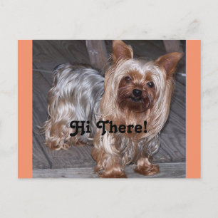 Hi There Yorkshire Terrier Postkarte