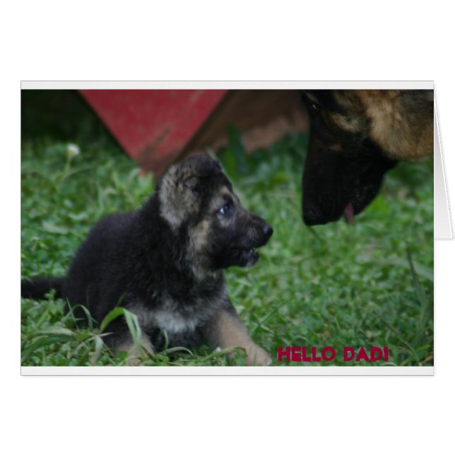 Hi VATER (Vorderseite (Horizontal))