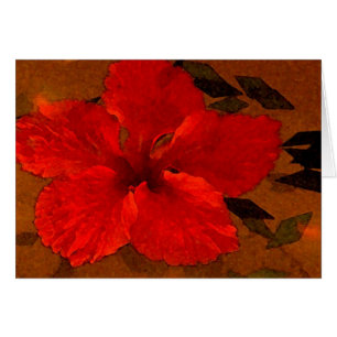 hibiscus-1