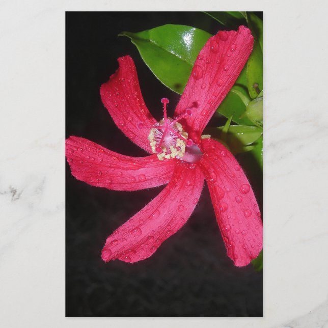 Hibiscus Rouge Briefpapier (Vorderseite)