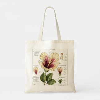Hibiscus Vintage-Blütenanatomie-Kunst Tragetasche