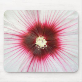 Hibisken Blume Makro Mousepad