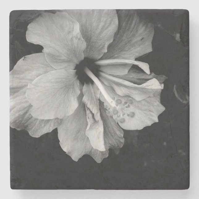 Hibisken Blume Steinuntersetzer (Vorderseite)