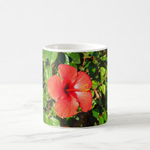 Hibisken Blume Tasse