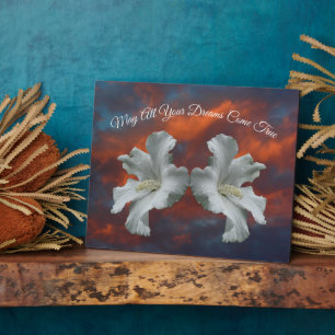 Hibisken Blume Träume wahr Inspiration Fotoplatte