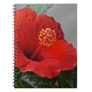 Hibisken-Notebook Notizblock