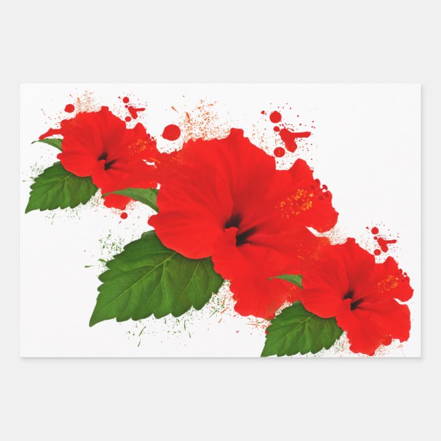 Hibisken Packer Geschenkpapier Set (Vorderseite)