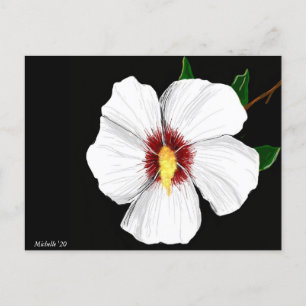 Hibisken Postkarte