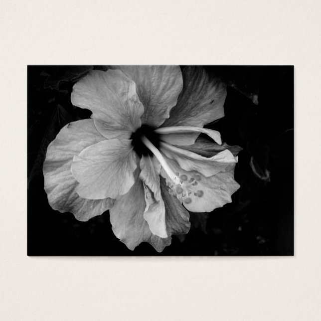 Hibiskus (Vorderseite)