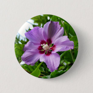 Hibiskus Abzeichen Button