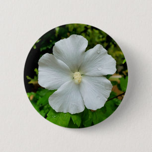 Hibiskus Abzeichen Button