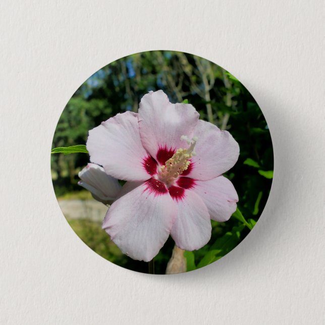 Hibiskus Abzeichen Button (Vorderseite)
