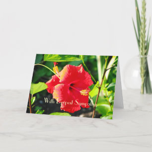 Hibiskus Beileid Grußkarte Karte