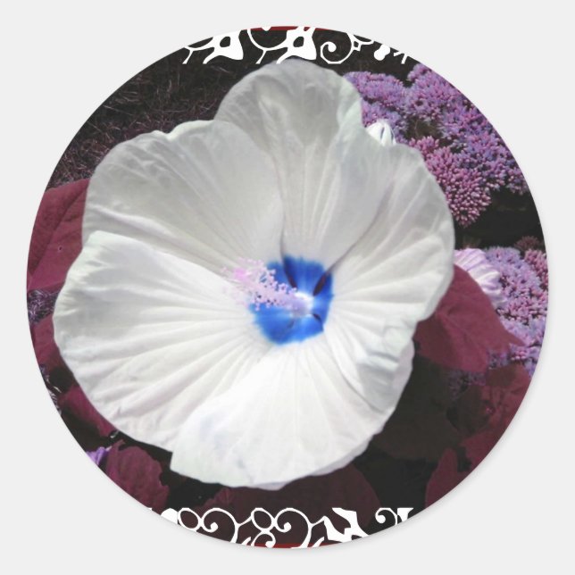 Hibiskus Blue - White Lace Wedding Sticker (Vorderseite)