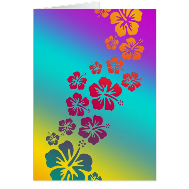 Hibiskus blüht | farbiger Hintergrund (Vorne)