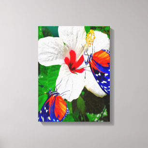 Hibiskus Blume mit 2 Tiger Langschwingende Schmett Leinwanddruck