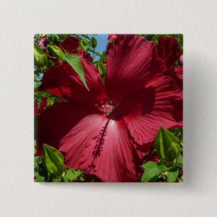 Hibiskus Blume und Blue Sky Button
